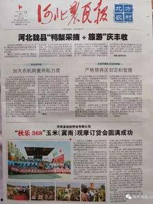 魏县最新事件爆料新闻报道,揭秘背后真相与影响