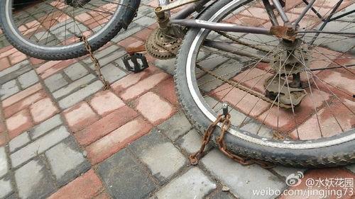 郑州自行车最新爆料新闻,揭秘行业最新发展亮点